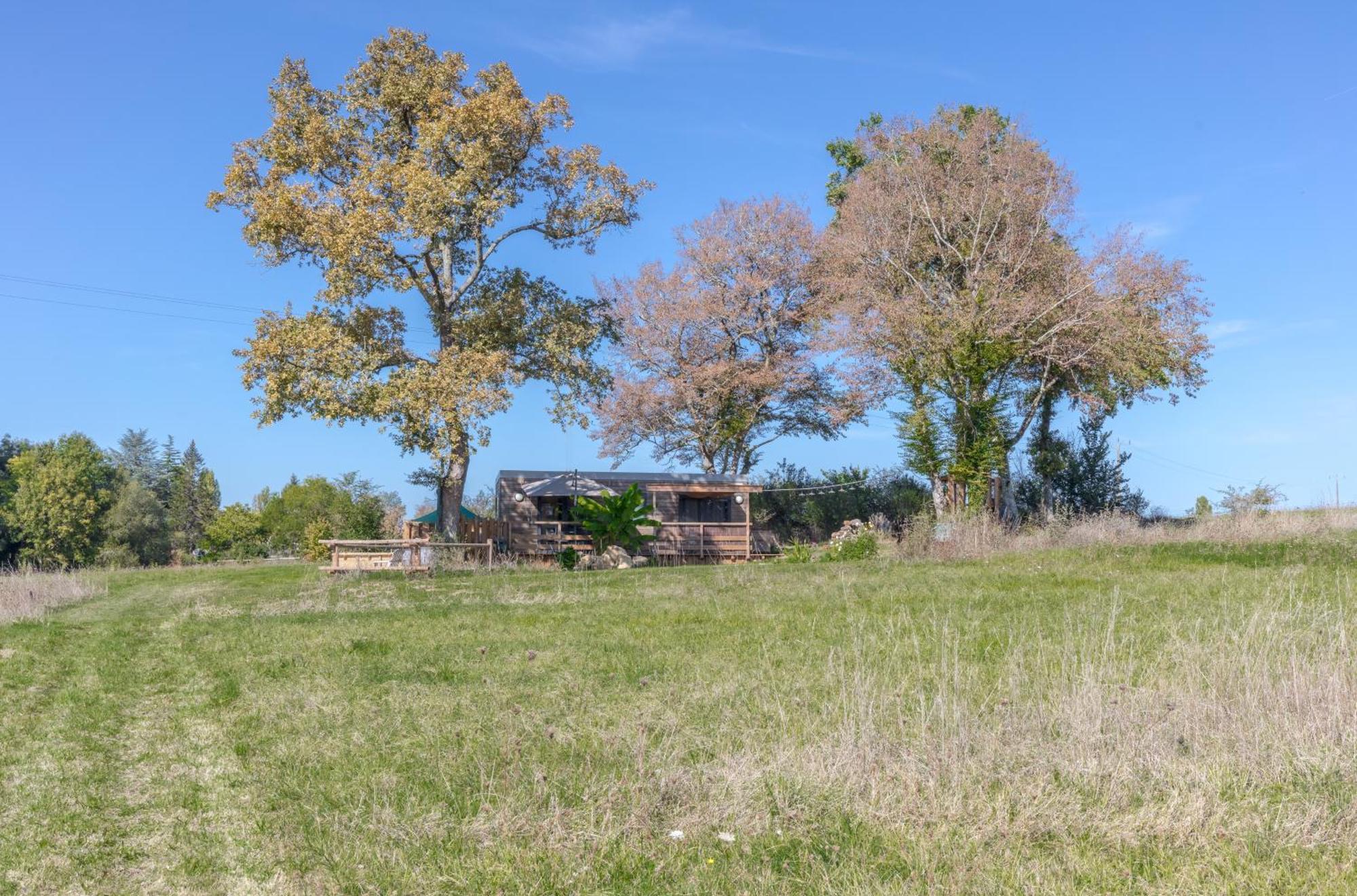 Villa Tiny House Avec Spa, Proche De Bordeaux Et De Saint-Emilion Castelviel Exterior foto